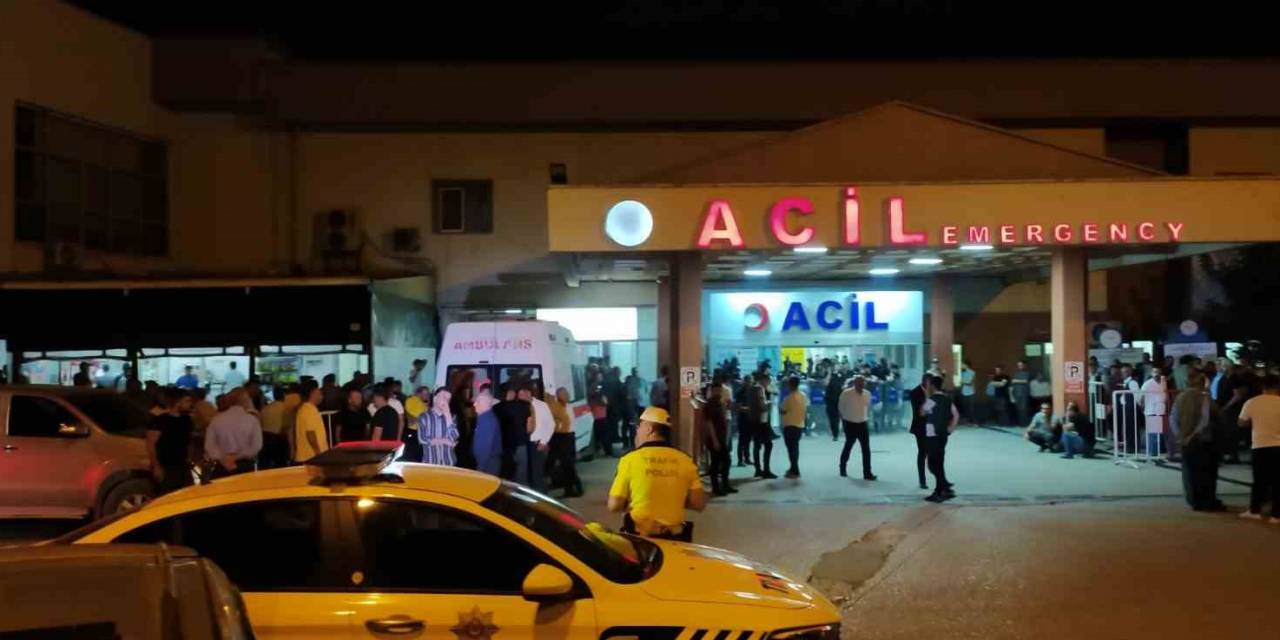 Domuz Sürüsüne Ateş Ederken Arkadaşını Öldürdü