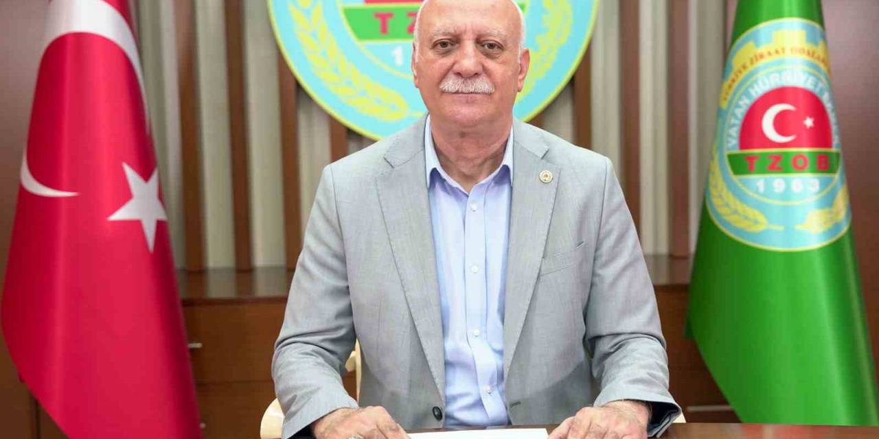 Zeytinyağı Üreticide 168, Markette 900 Lira