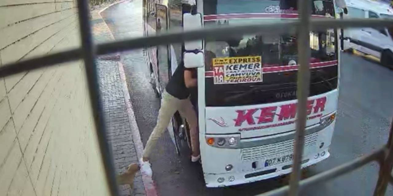 Midibüs Şoförü İle Yavru Köpeğin İnatlaşması Mutlu Sonla Bitti