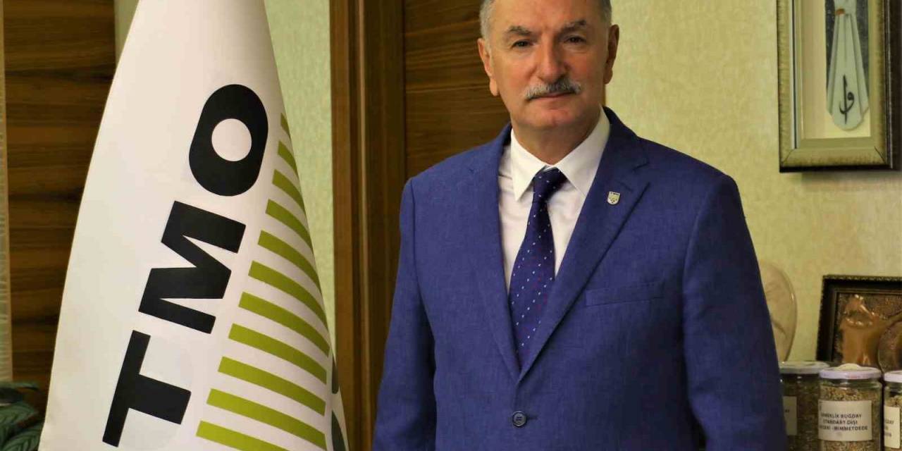 Tmo Fındık Alım Fiyatlarına Güncelleme Yapılmayacak