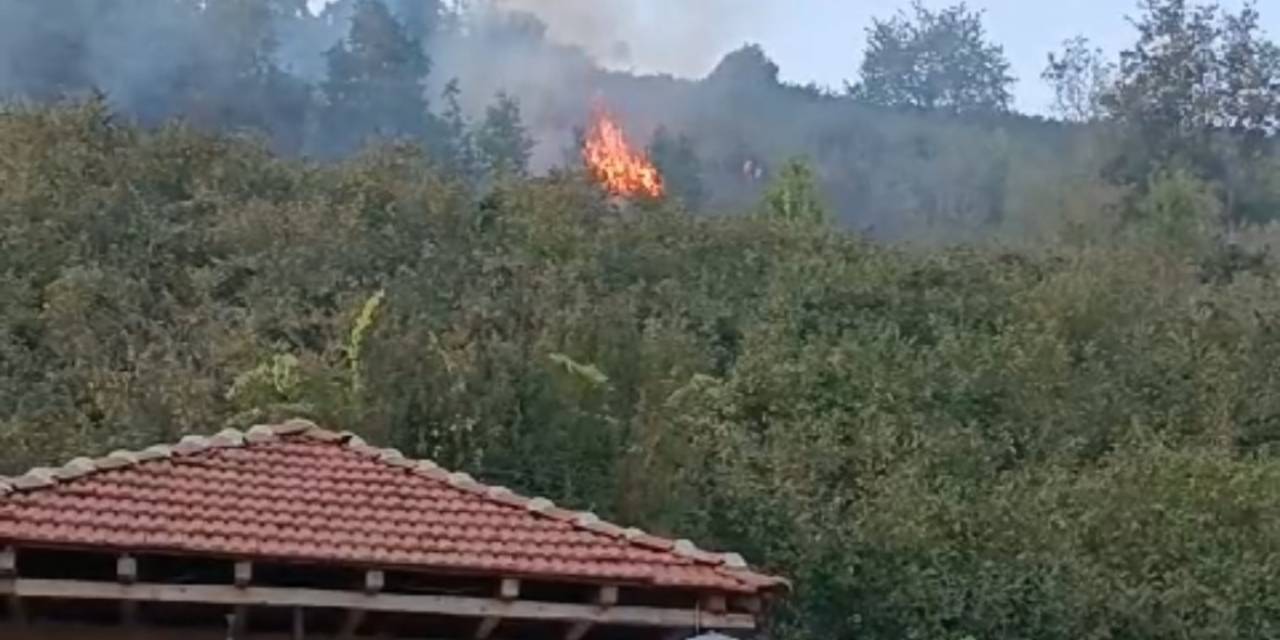 Düzce’de Korkutan Yangın
