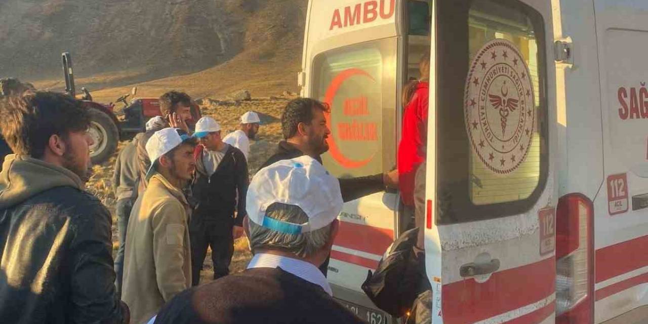 Şehitler Anısına Vefa Yürüyüşü Yapan Gruba Ayı Saldırdı: 1 Kişi Yaralandı