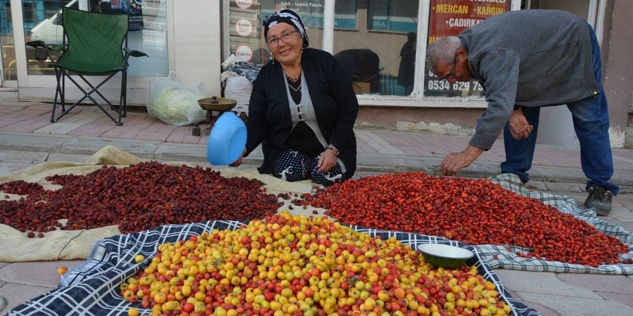 Tercan Dağlarında Yetişen Yaban Meyveleri Pazar Tezğahlarını Süslüyor