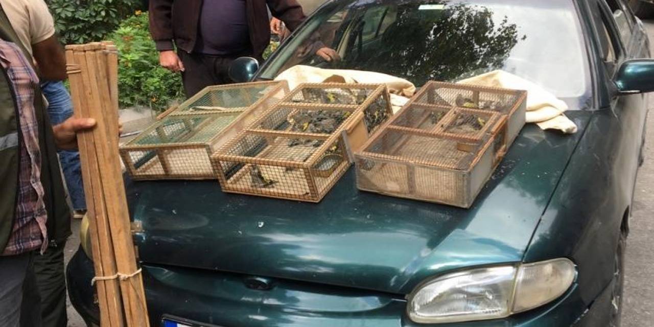Saka Kuşlarını Avlayan 2 Şahıs Suç Üstü Yakalandı, 73 Bin Tl Ceza Kesildi