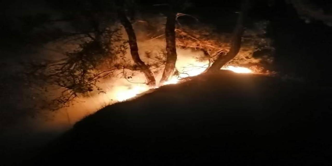 Karabük’te Orman Yangını: 5 Dönüm Alan Zarar Gördü