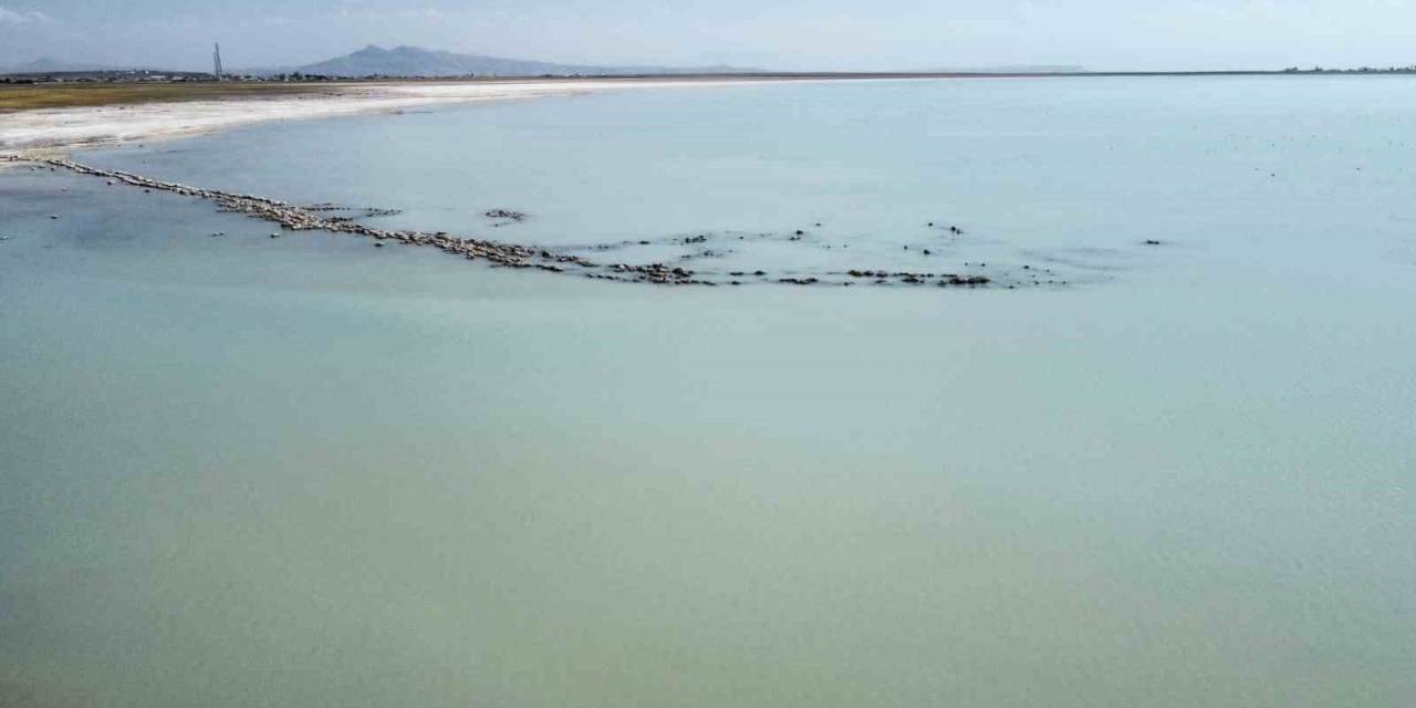 Arin Gölü’nde Yaşanan Kuraklıktan Dolayı Duvar Kalıntıları Ve Mikrobiyalitler Gün Yüzüne Çıktı