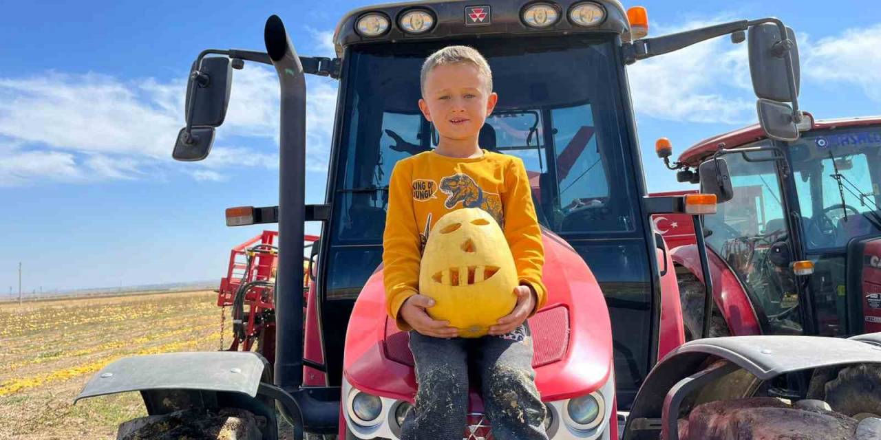 Eskişehir’de Kabak Çekirdeği Hasadı Başladı