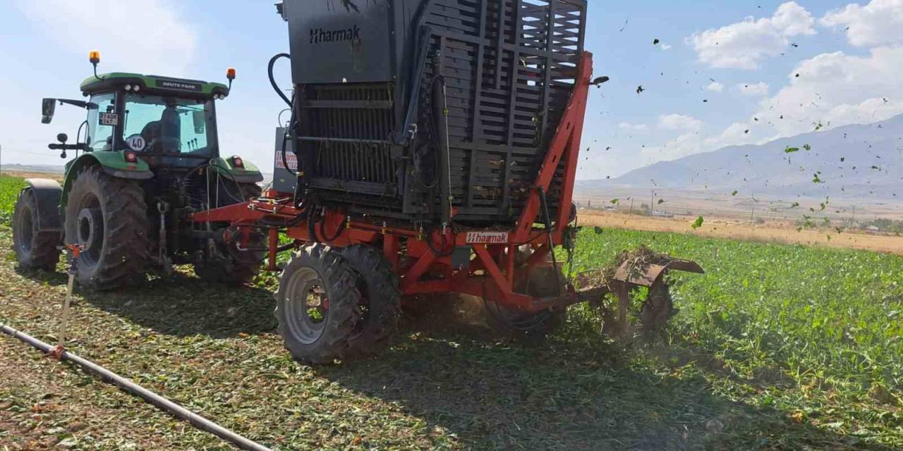 Adilcevaz’da Pancar Sökümüne Başlandı