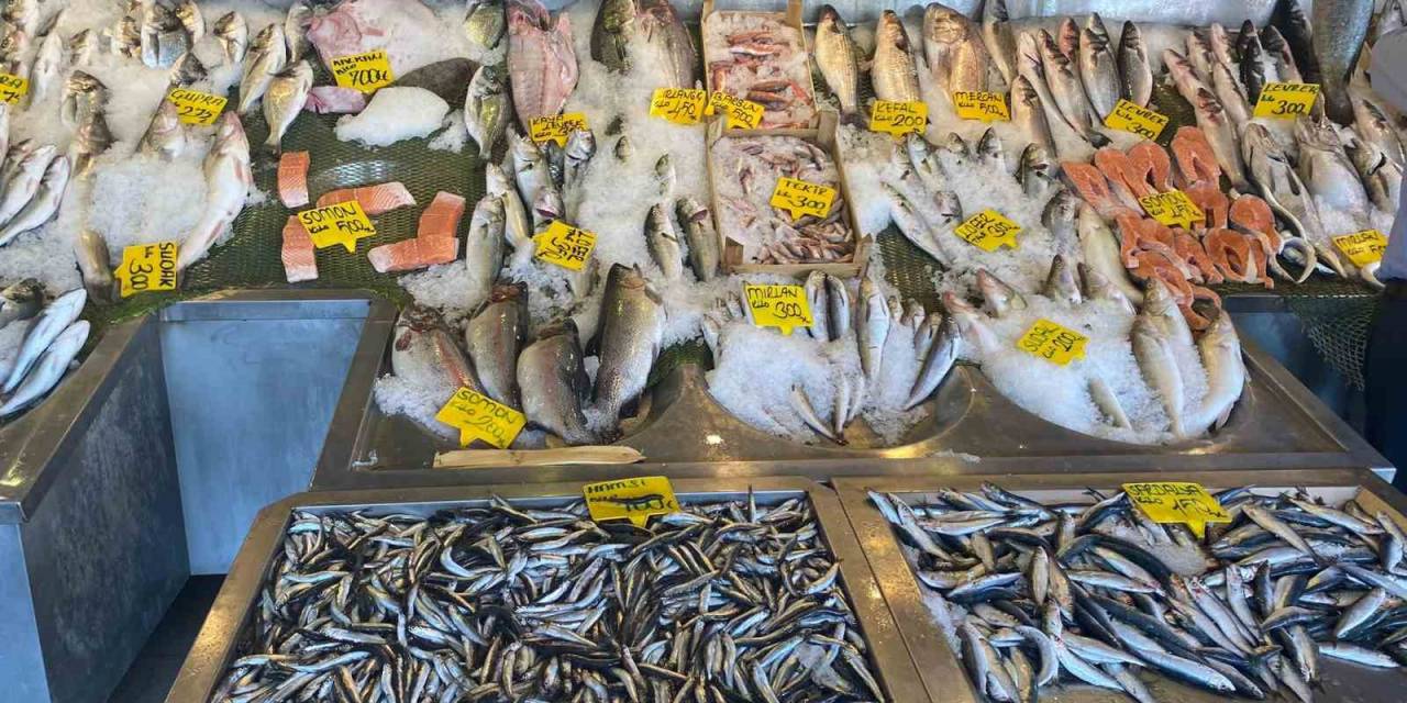 Balıkçılardan Ucuz Mazot Desteği Ve Hal Giderlerinin Düşürülmesi Çağrısı