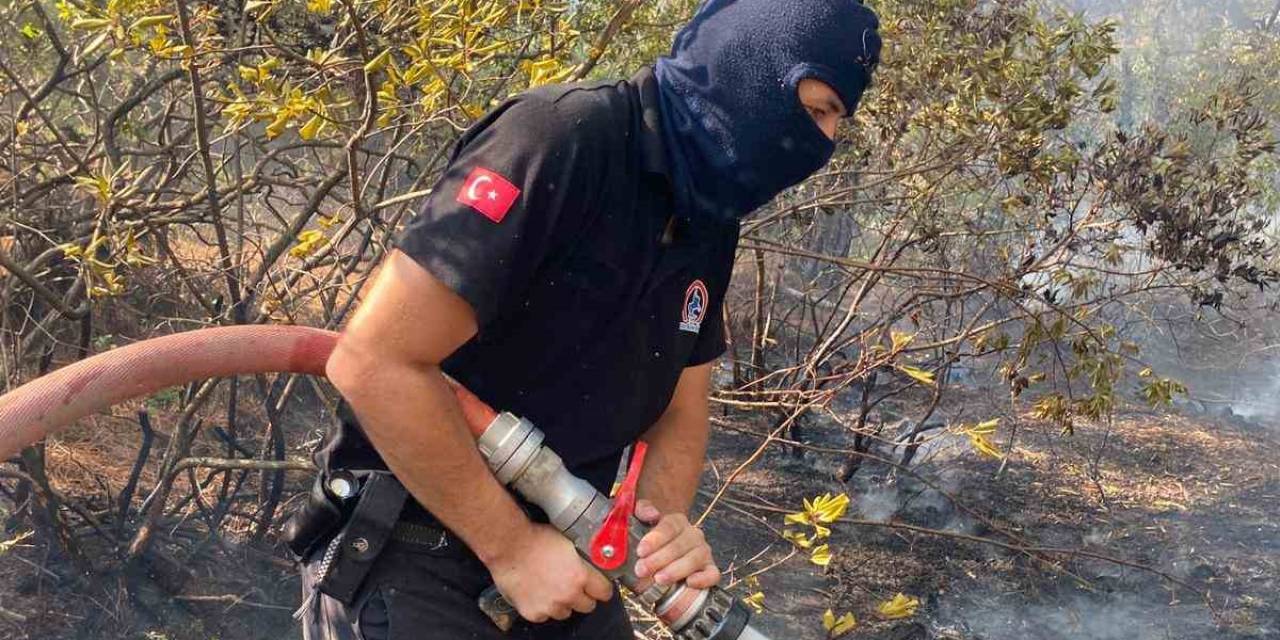 Anız Yakarak Toprağı Öldürmeyin