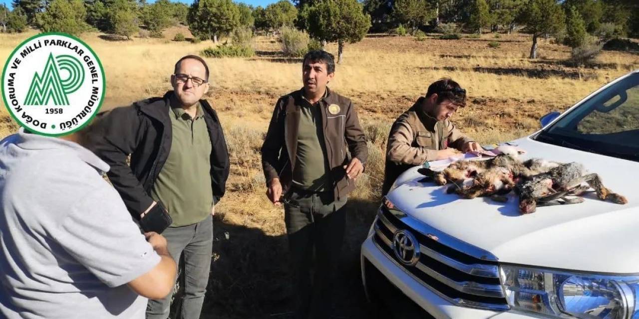 Burdur’da Kaçak Avcılara 41 Bin 267 Tl Para Cezası Uygulandı