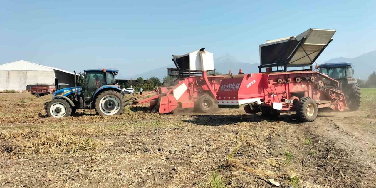 Osmaniye’de Yer Fıstığı Hasadı Başladı