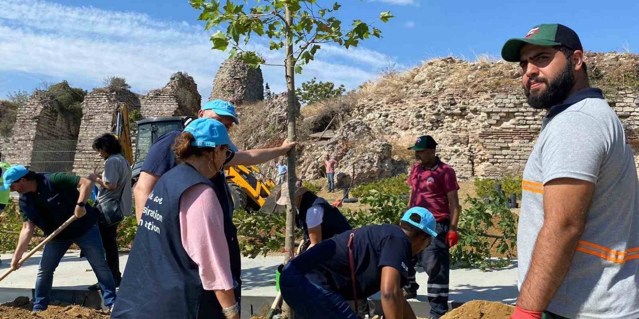 Fatih Belediyesi Bm Gönüllüleri İle Beraber Ağaç Dikme Töreni Düzenledi