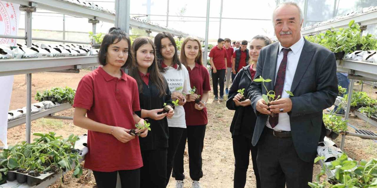 Sarıcakaya’da Çilekler, Topraksız Tarım Ve Su Kültürü Tekniği İle Yetişecek