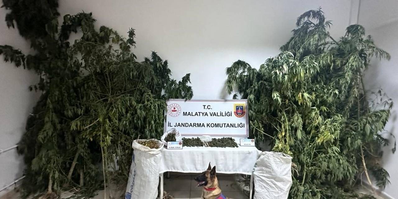 Malatya’da Zehir Tacirlerine Büyük Darbe