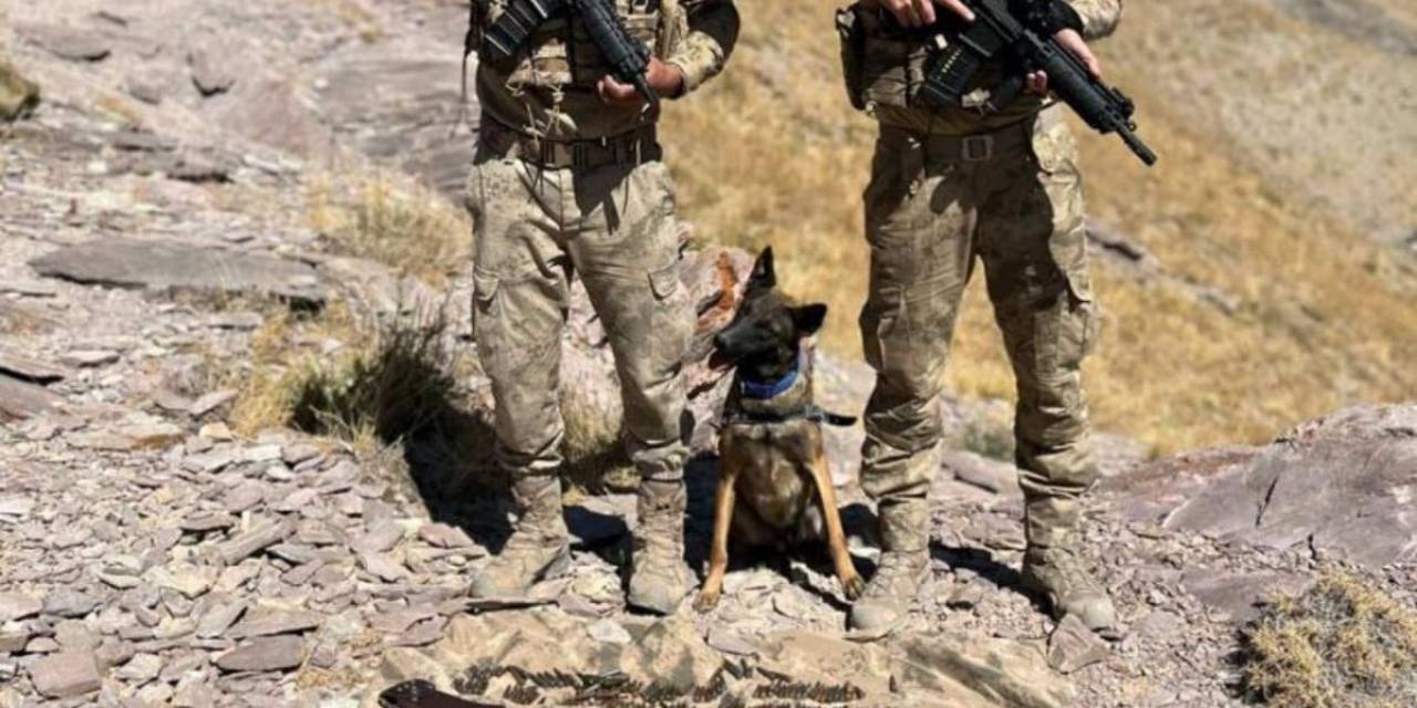 Jandarma Ekipleri Pkk’ya Ait 2 Sığınakta Çok Sayıda Silah Ve Mühimmat Ele Geçirdi