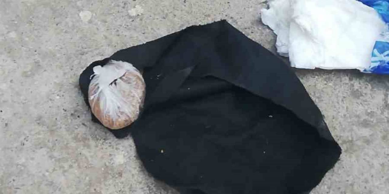 Asma Sundurması İçinde Bonzai Ticareti
