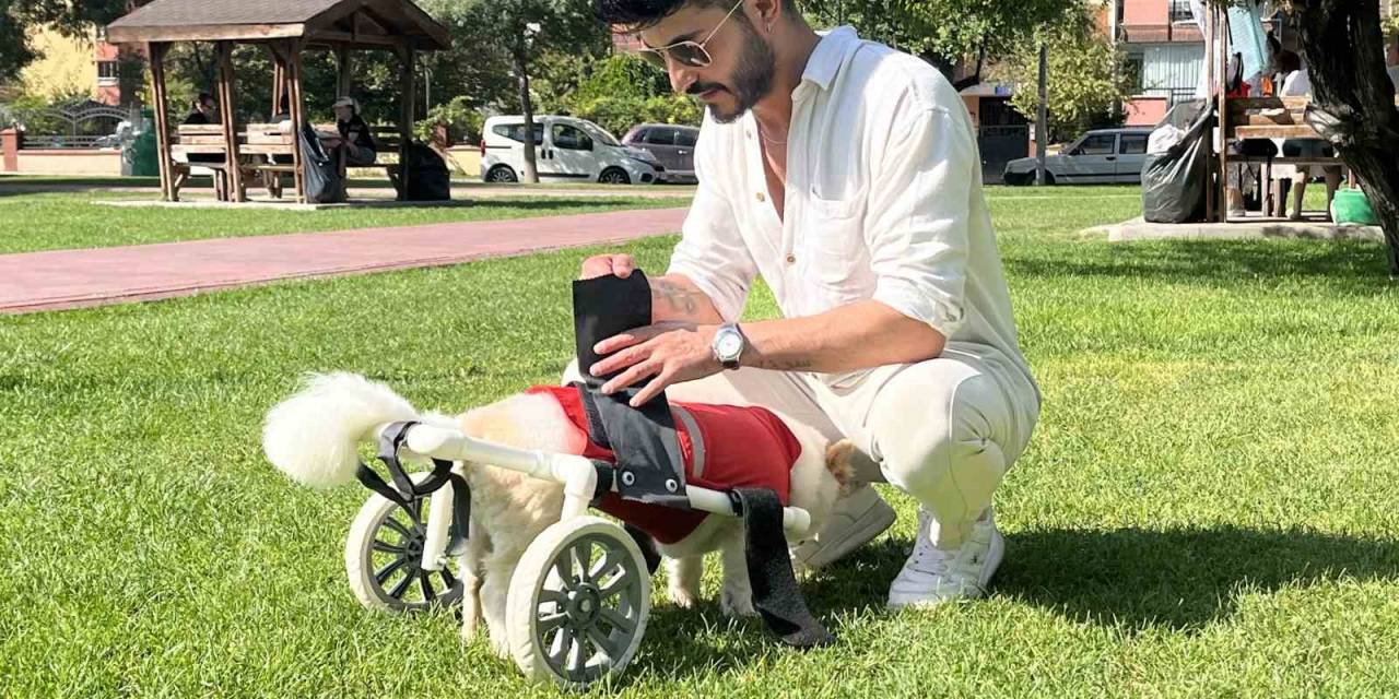 Köpeği Felç Kaldıktan Sonra Müslüman Oldu