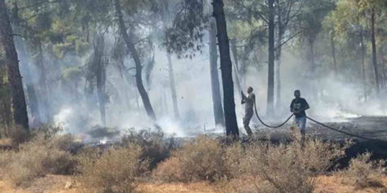 Ormanlık Alandaki Örtü Yangını Ekipler Tarafından Kontrol Altına Alındı