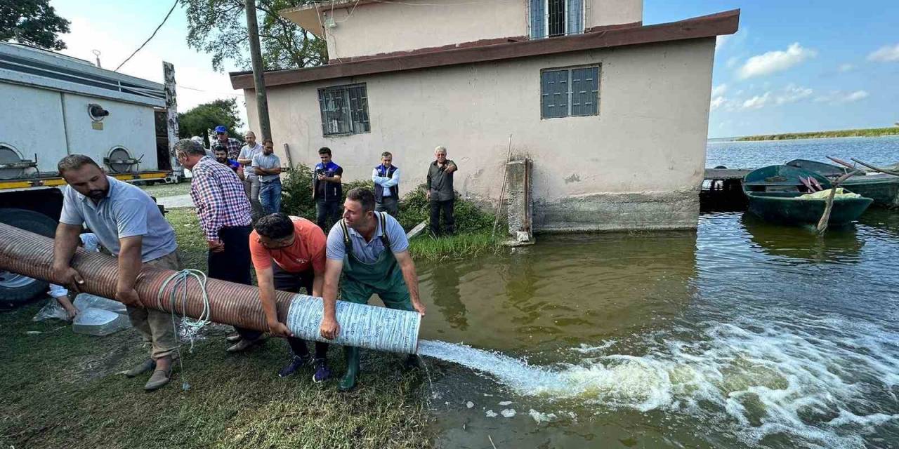 Samsun’da Baraj Ve Göllere 3 Milyon 200 Bin Sazan Yavrusu Bırakıldı