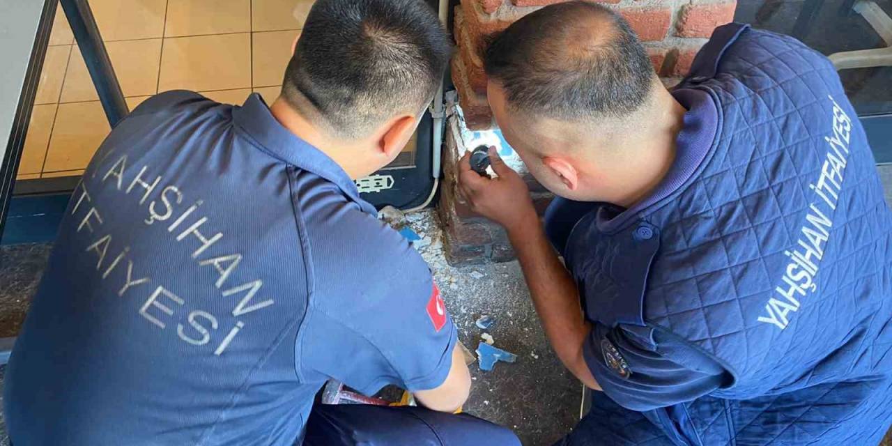 Dekoratif Tuğla Kolonun İçinden Yavru Kedi Çıktı