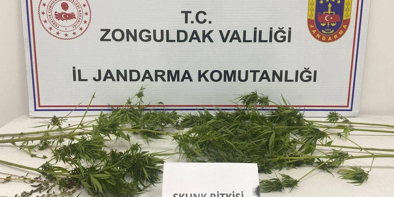 Zonguldak’ta Uyuşturucu Operasyonu