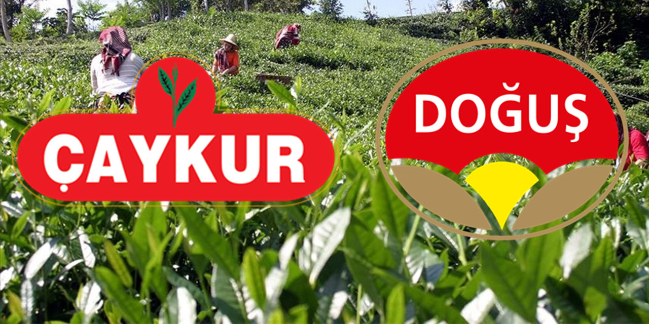 ÇAYKUR ve DOĞUŞ Çay, Türkiye'nin 500 sanayi kuruluşu arasında