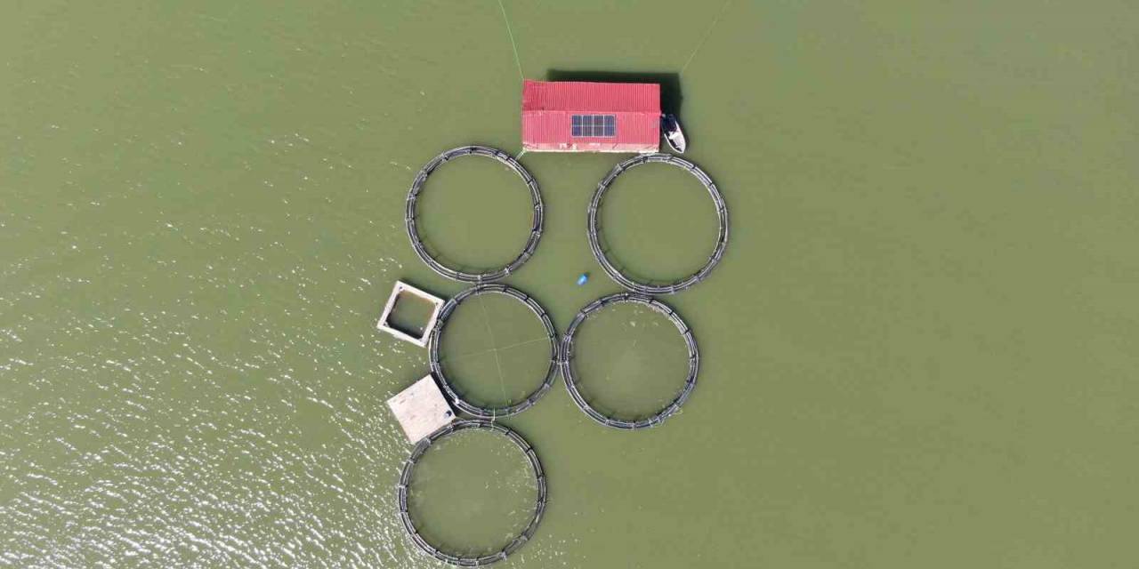 Balık Kafesleri Yırtıldı, Oltasını Alan Baraja Koştu