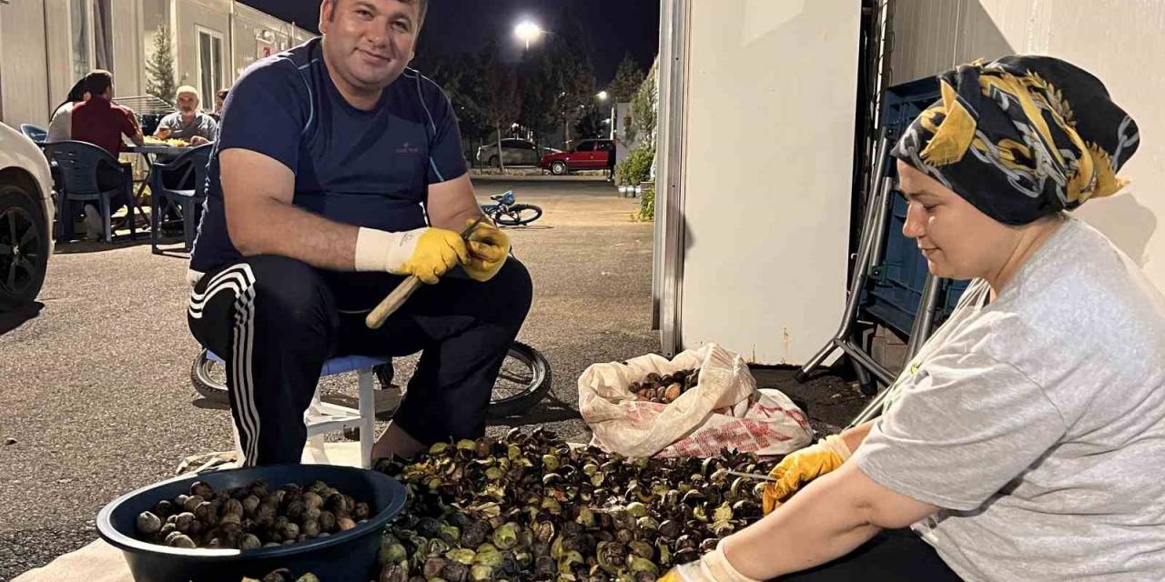 Konteyner Kentte Kışlık Telaşı