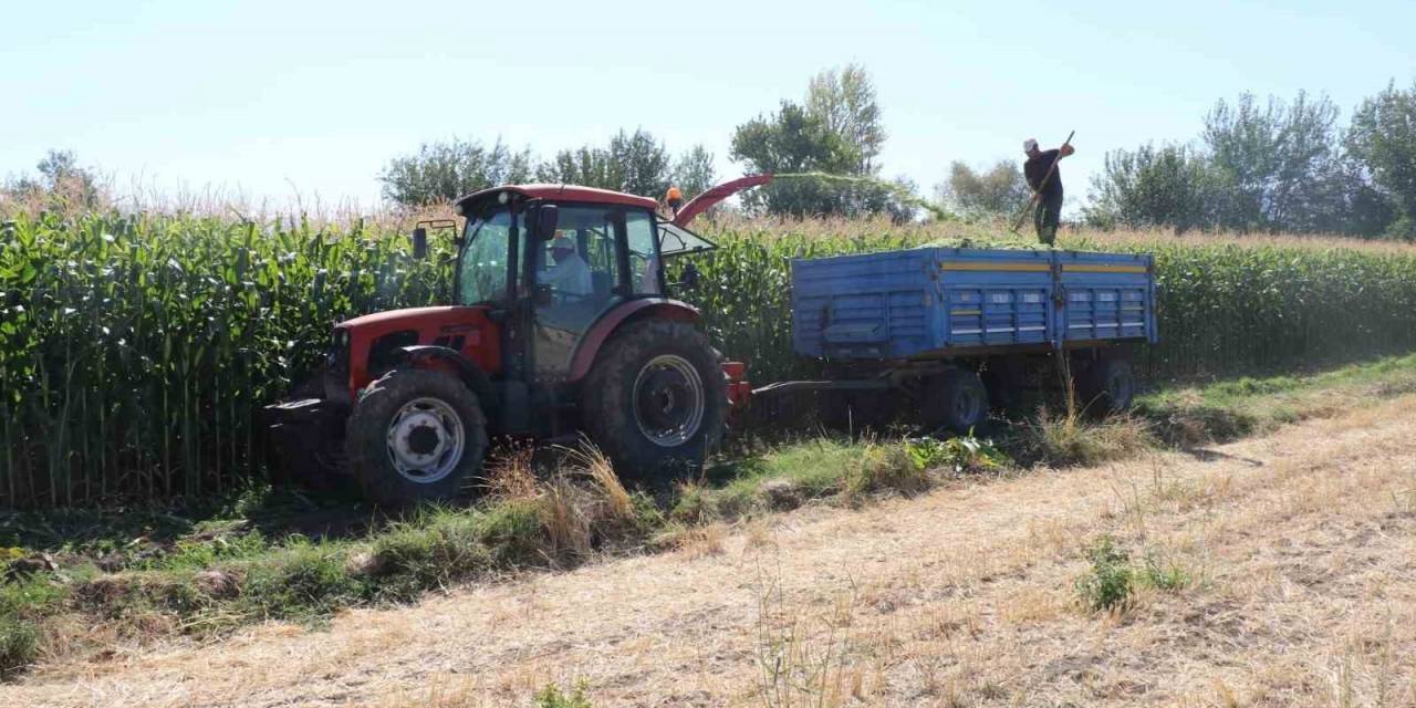 Elazığ’da Silajlık Mısır Hasat Etkinliği Düzenlendi