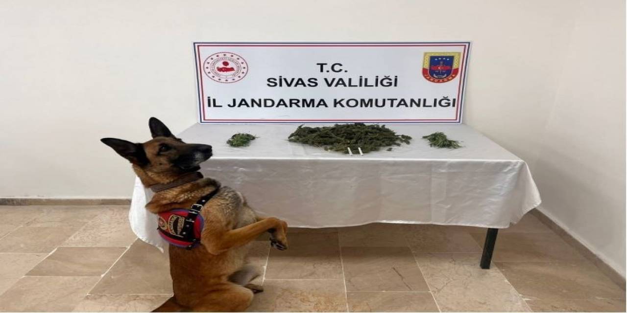 Sivas’ta 3 Kilo Esrar Ele Geçirildi