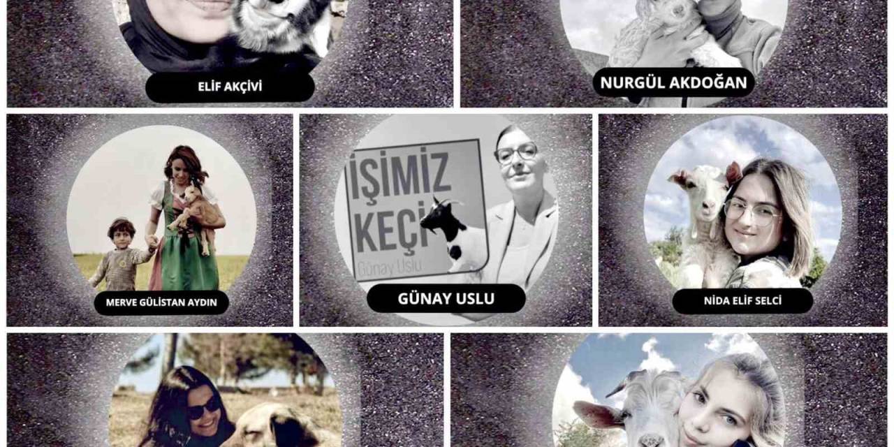 İnegöl’de Küçükbaş Hayvancılık Festivali Başlıyor