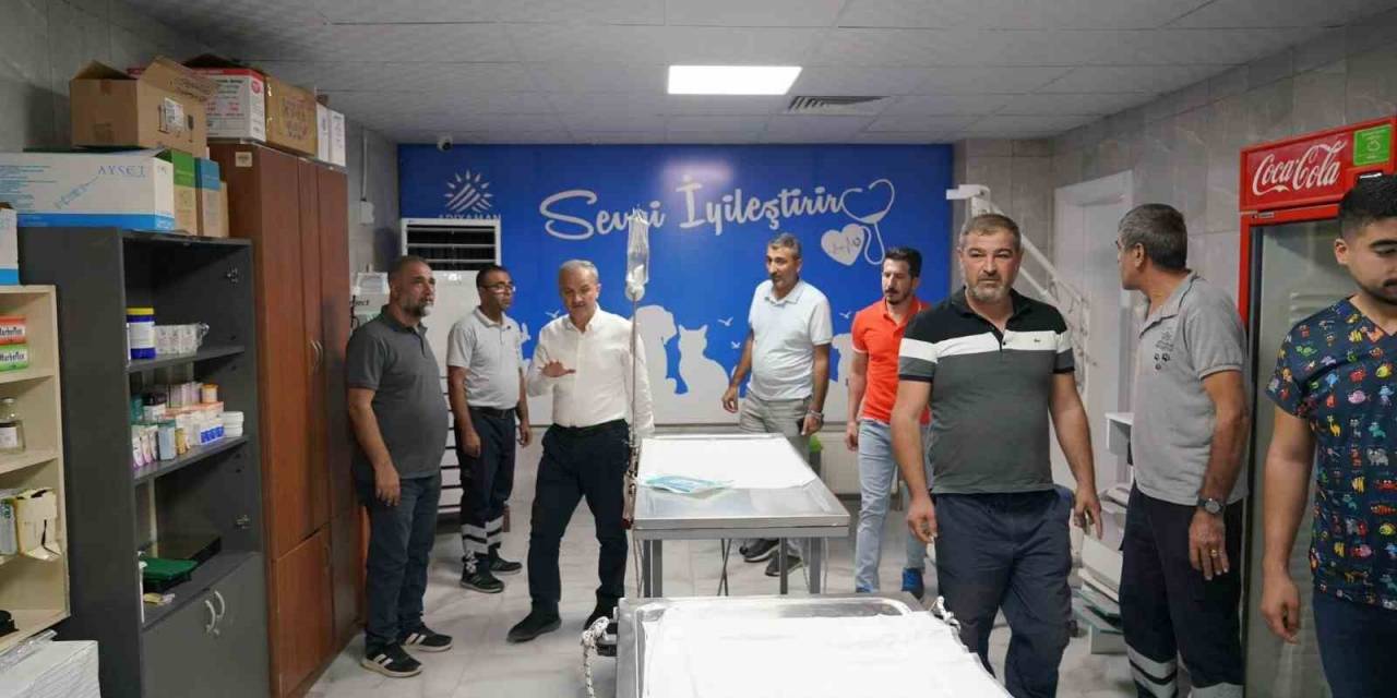 Kılınç, Veteriner Müdürlüğündeki Çalışmaları İnceledi