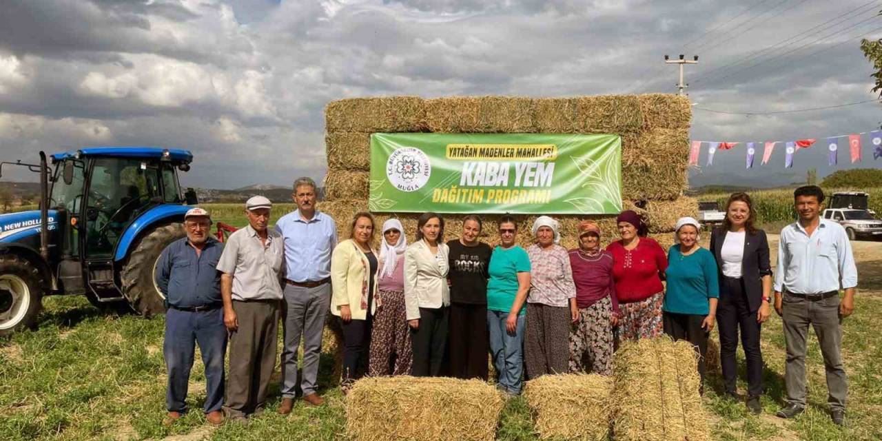 Muğla Büyükşehirden Üreticilere Ücretsiz Yem Desteği