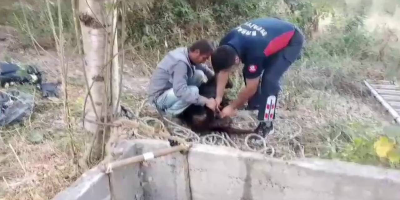 7 Metre Derinliğindeki Kuyuya Düştü, İtfaiye Kurtardı