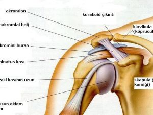 Omuz Artroskopisi Nedir?