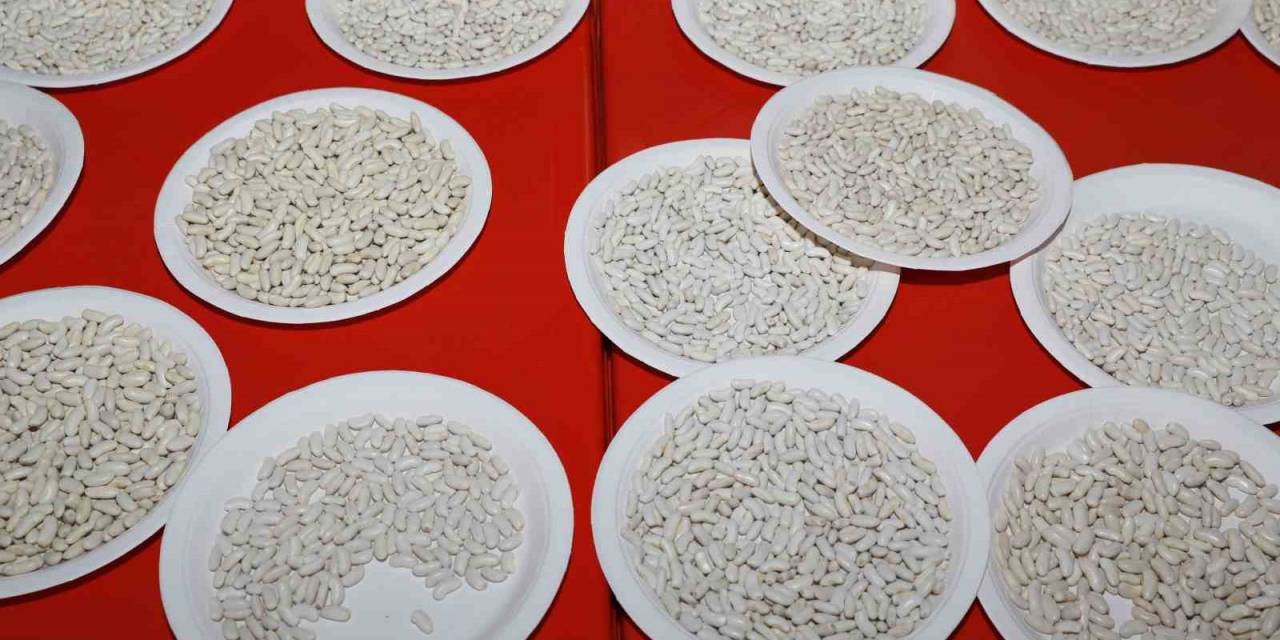 Coğrafi İşaretli Yedisu Horoz Kuru Fasulyesi Festivali Düzenlendi