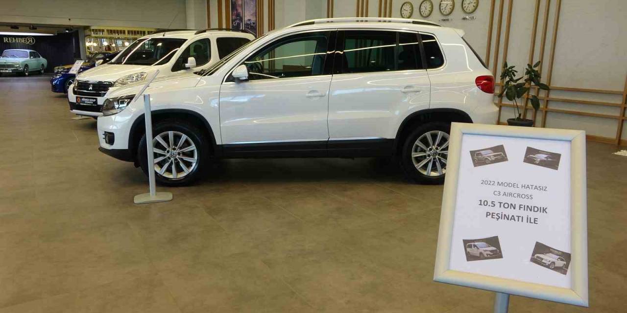 Bu Galerideki Tabelalarda Araç Fiyatı Değil, Fındık Miktarı Yazılıyor