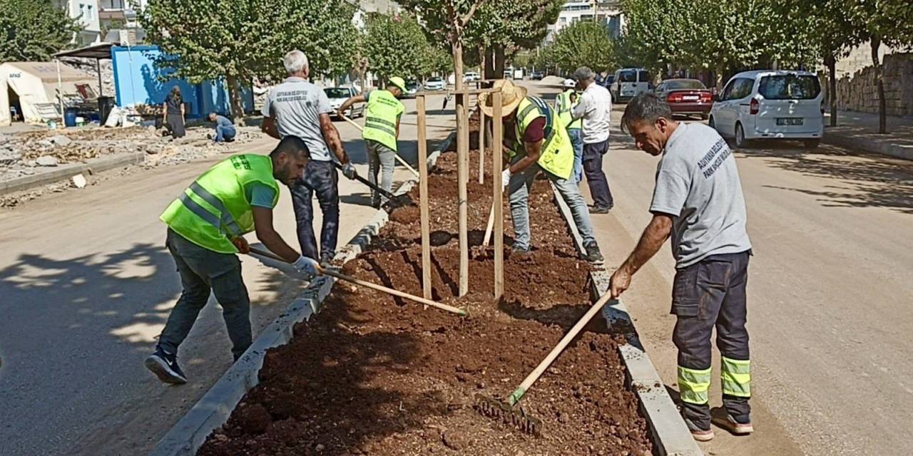 Refüj Ve Kavşakların Bakım, Onarım Çalışmalarına Devam Ediyor