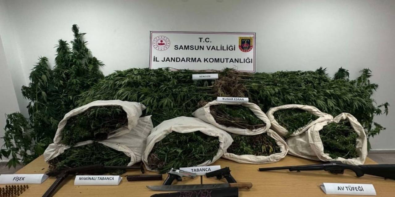 Samsun’da Jandarma 33 Kilo Kubar Esrar Ele Geçirdi: 2 Gözaltı