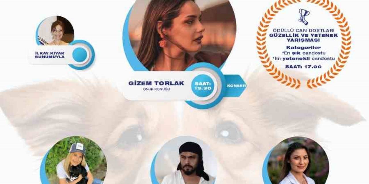 Hayvanseverler Buca’da Buluşacak