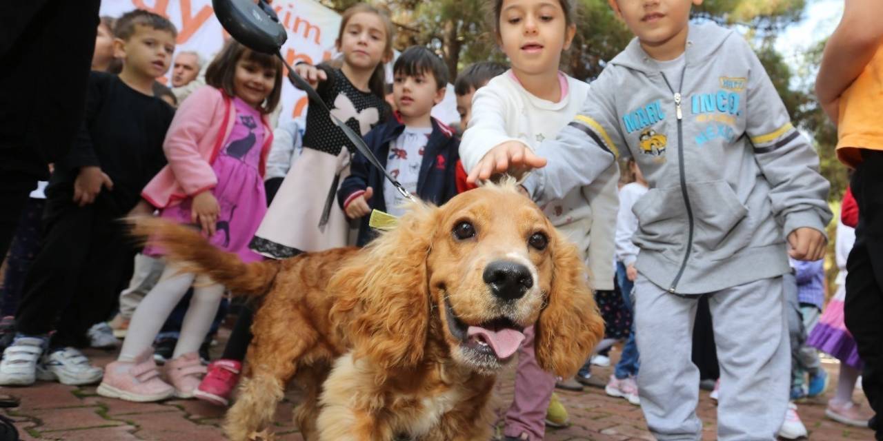 Canik’te Can Dostları İçin Fotoğraf Yarışması