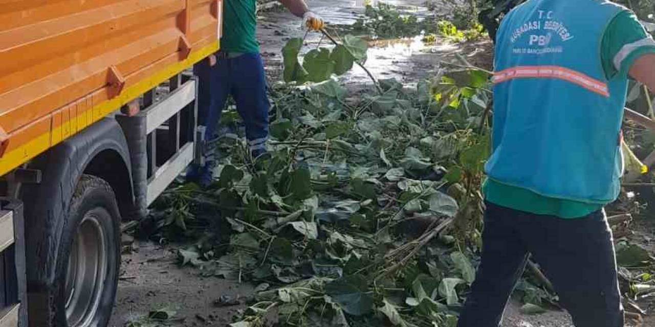 Kuşadası Belediyesi’nin Kış Hazırlıkları İşe Yaradı