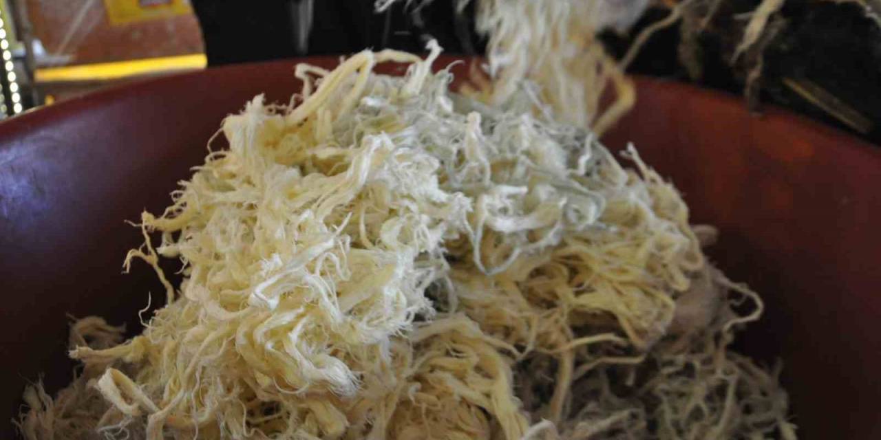 Kars’ta Asırlık Tuluk Peyniri Yoğun İlgi Görüyor