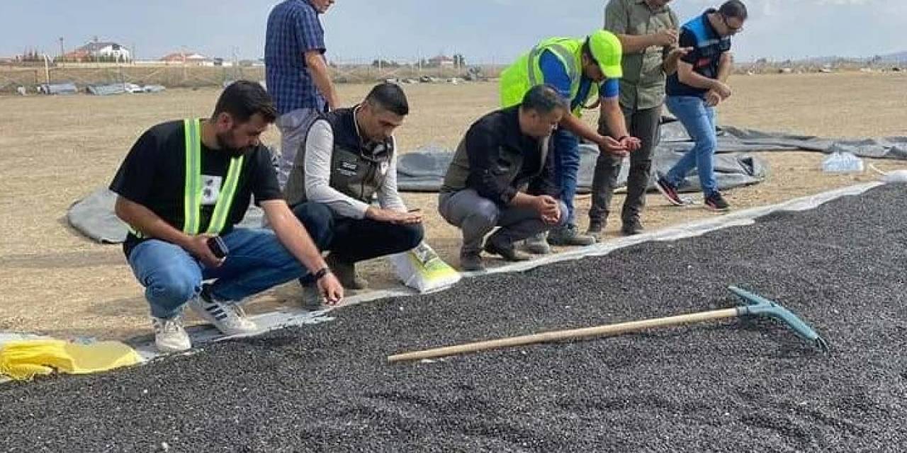 Emirdağ’da Ayçiçeği Hasadı Başladı