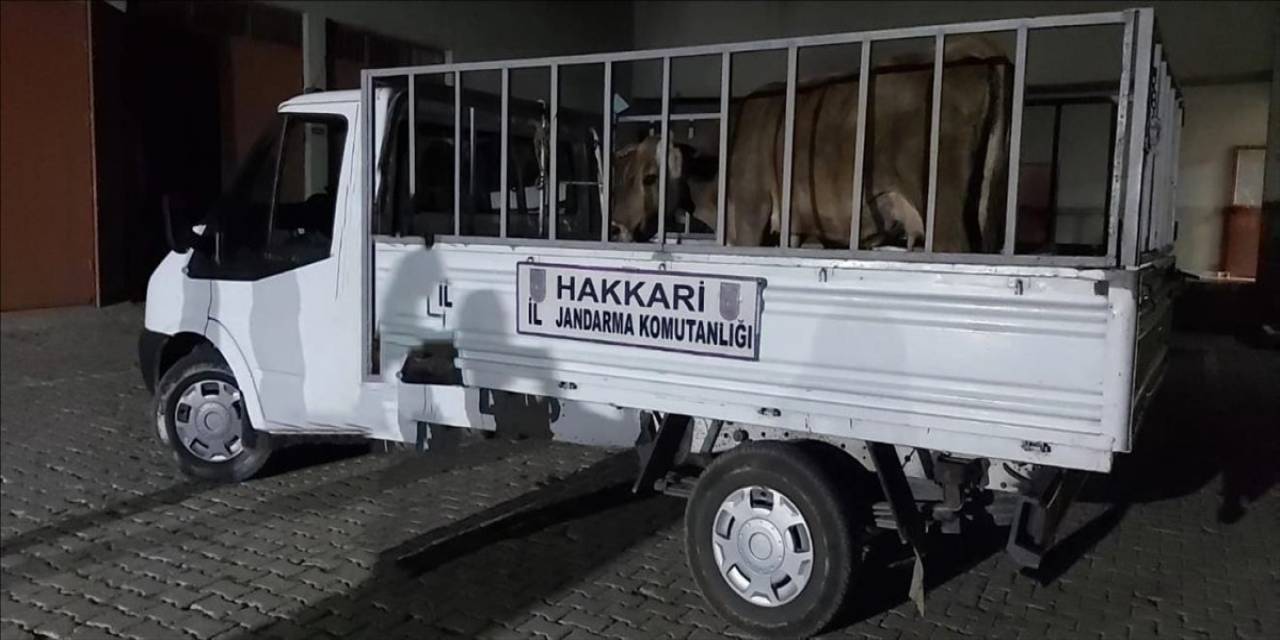 Hakkari’de 49 Şüpheli Hakkında İşlem Yapıldı