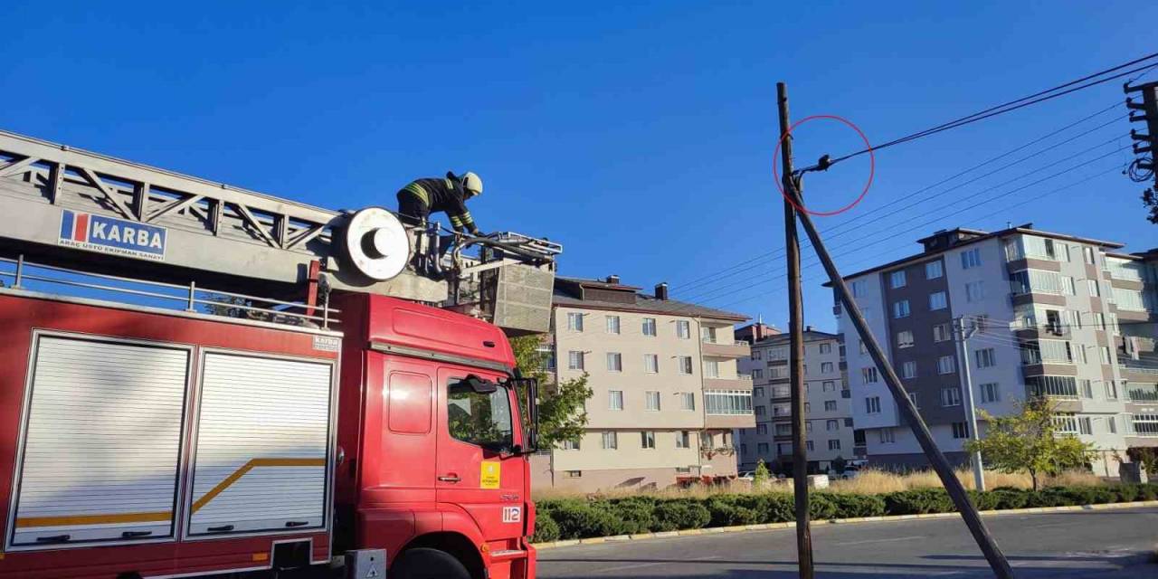 Telefon Kablosunda Mahsur Kalan Yavru Kediyi İtfaiye Kurtardı