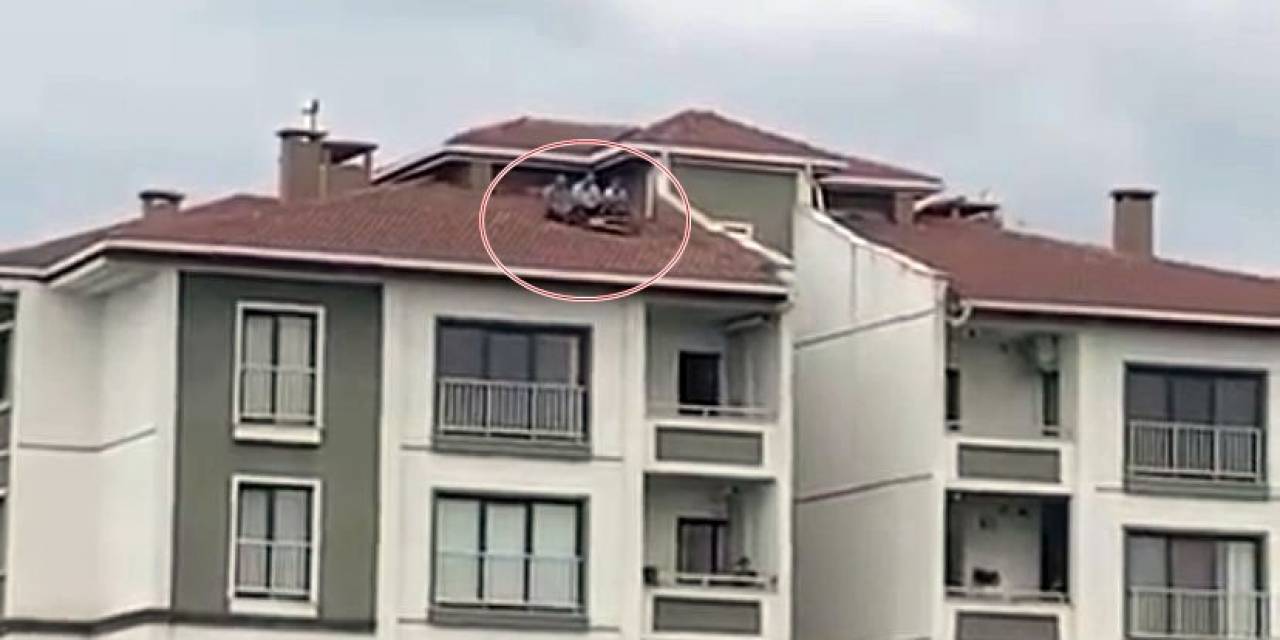 Maçı Bakın Nereden İzlediler