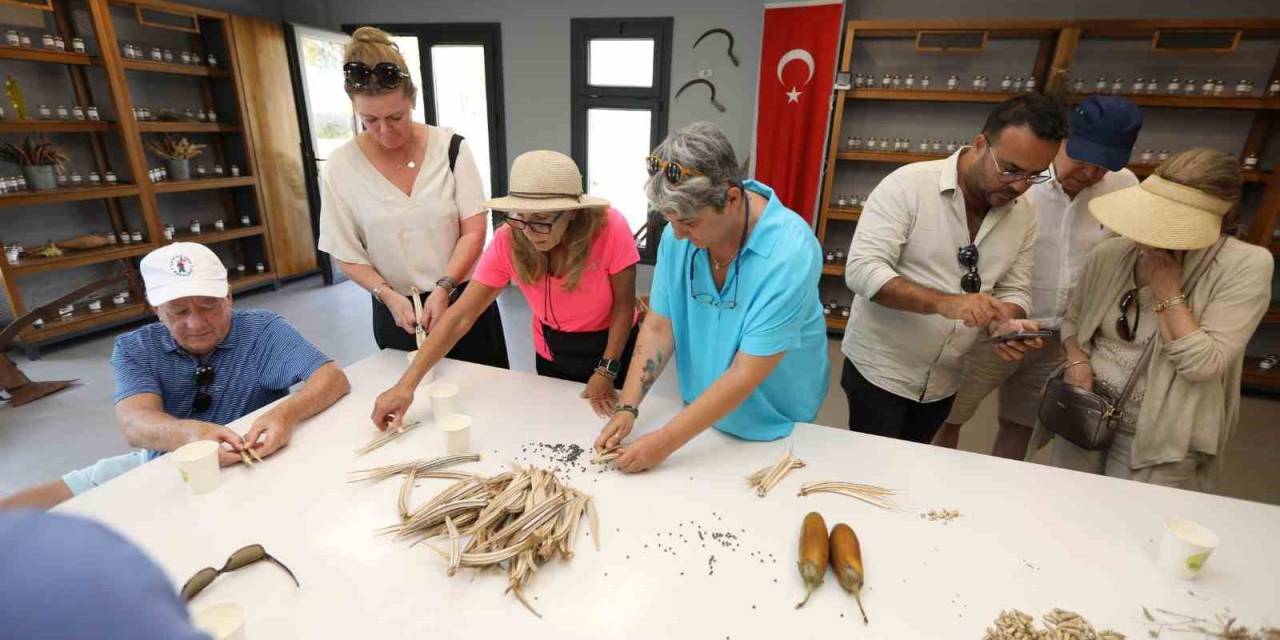 Selçuk, Avrupa’nın Vıp Ziyaretçilerinin Rotasına Dahil Oldu