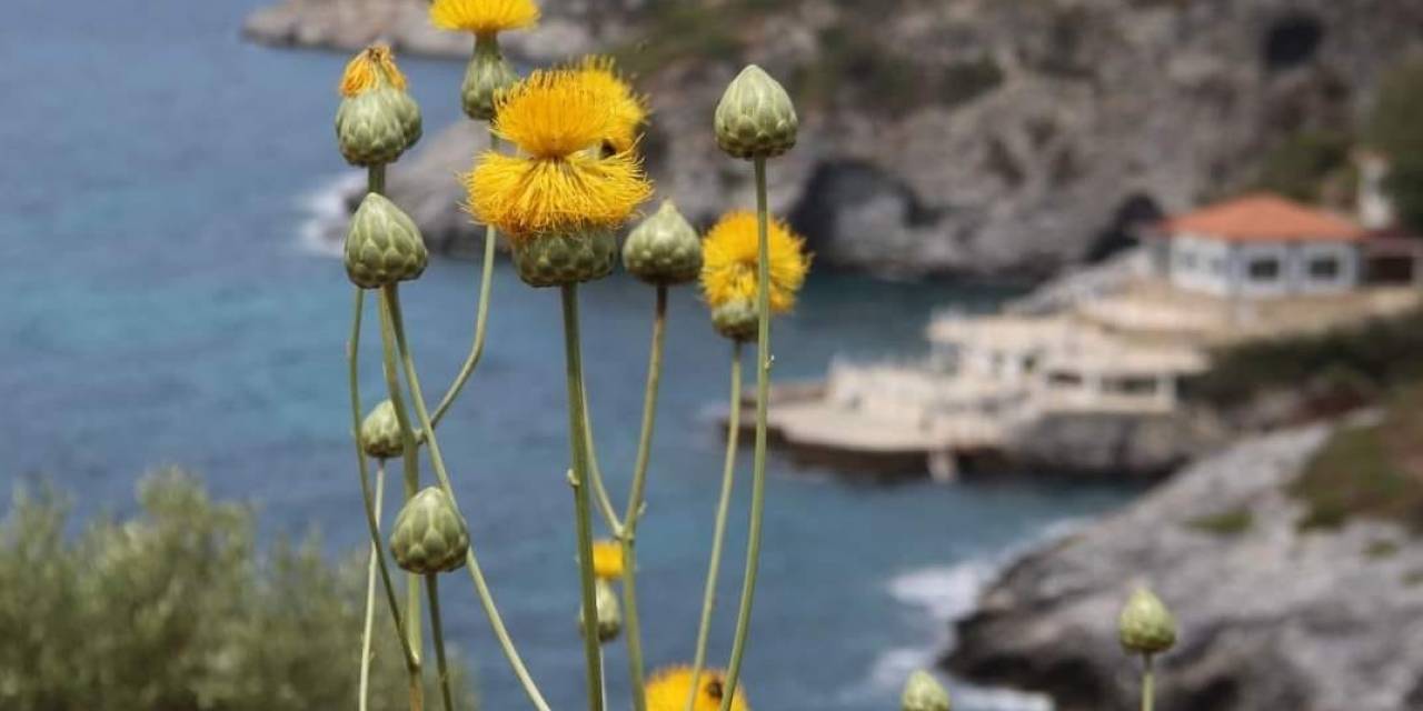 Kuşadası Yeni Bir Turizm Rotası Daha Kazandı